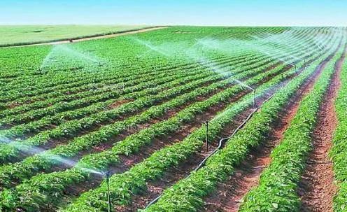小鸡操逼的网站视频农田高 效节水灌溉